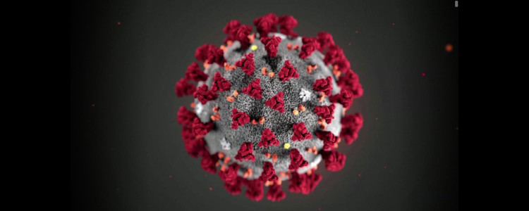 Mesures Coronavirus